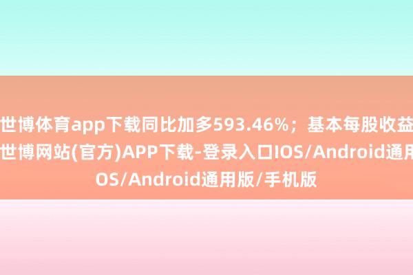 世博体育app下载同比加多593.46%；基本每股收益0.0703元-世博网站(官方)APP下载-登录入口IOS/Android通用版/手机版